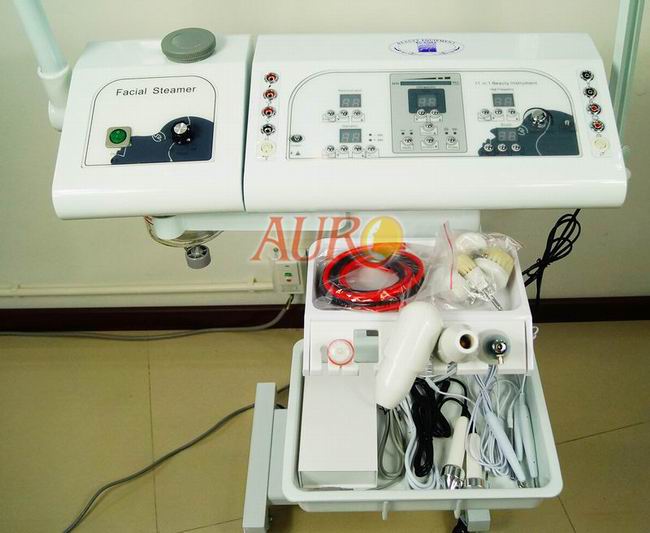 multifunction facial machine