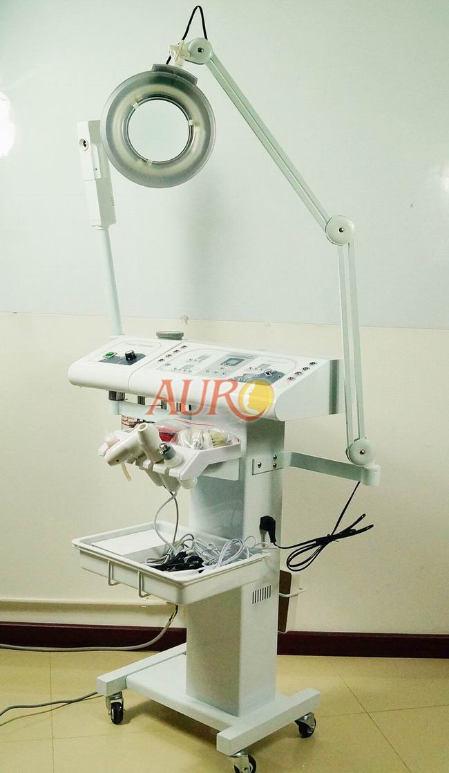 multifunction facial machine